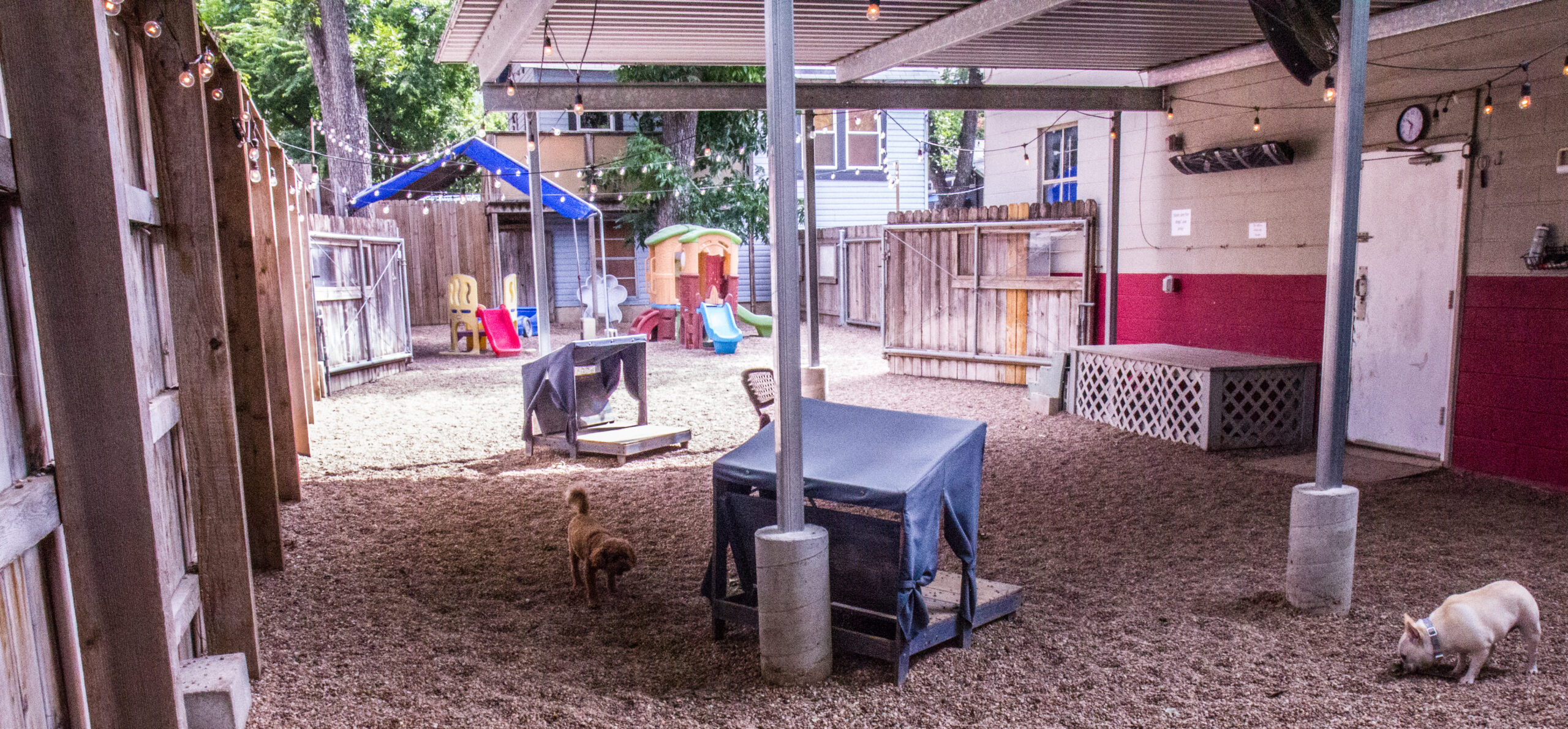 Doggie Daycare BHVAustin