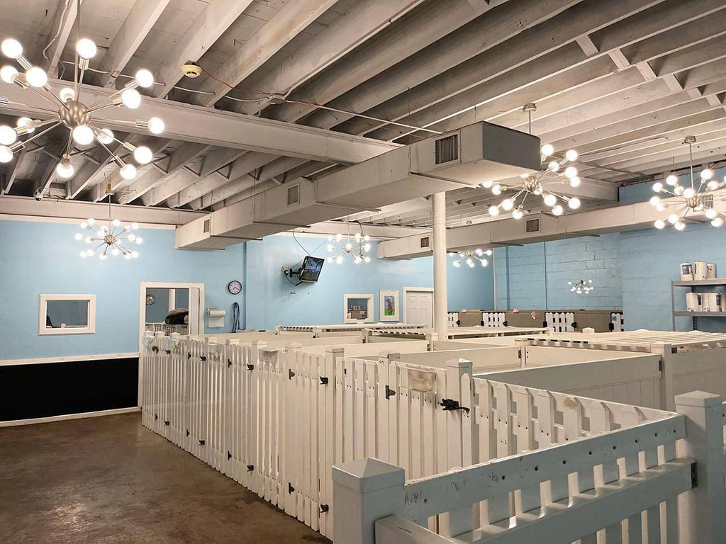 Safe Doggy Suites - BHV Austin Safe Doggy Suites