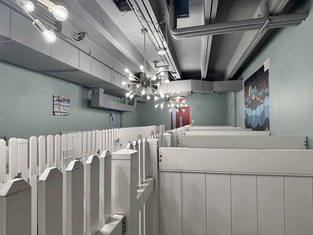Spacious Dog Suites for Comfortable Boarding - BHV Austin Spacious Dog Suites for Comfortable Boarding