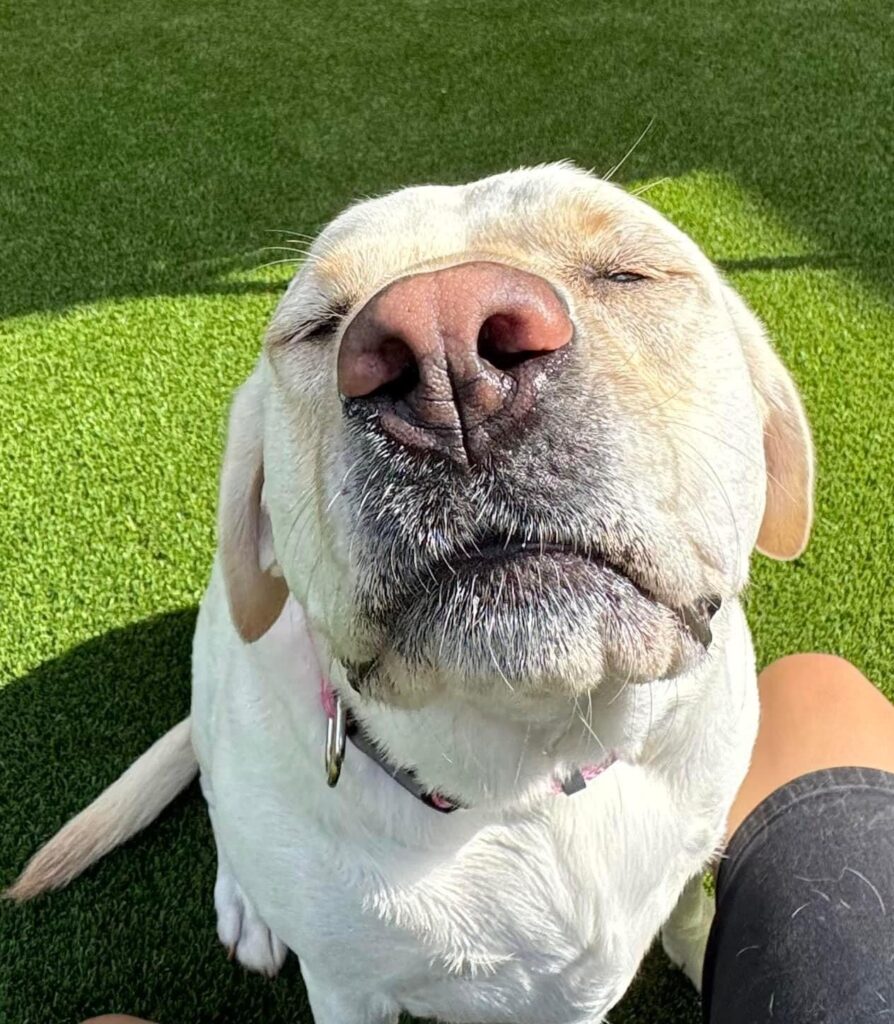 IMG 2705