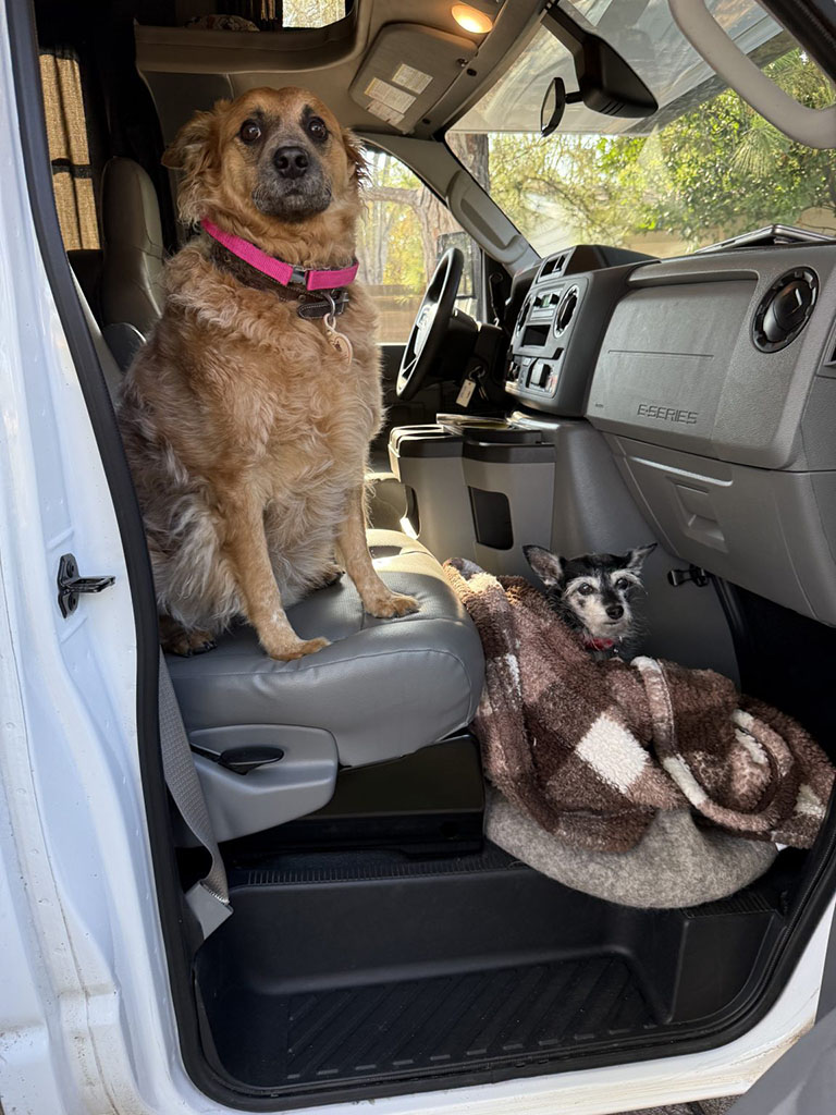 Dogs sitting in the front of RV