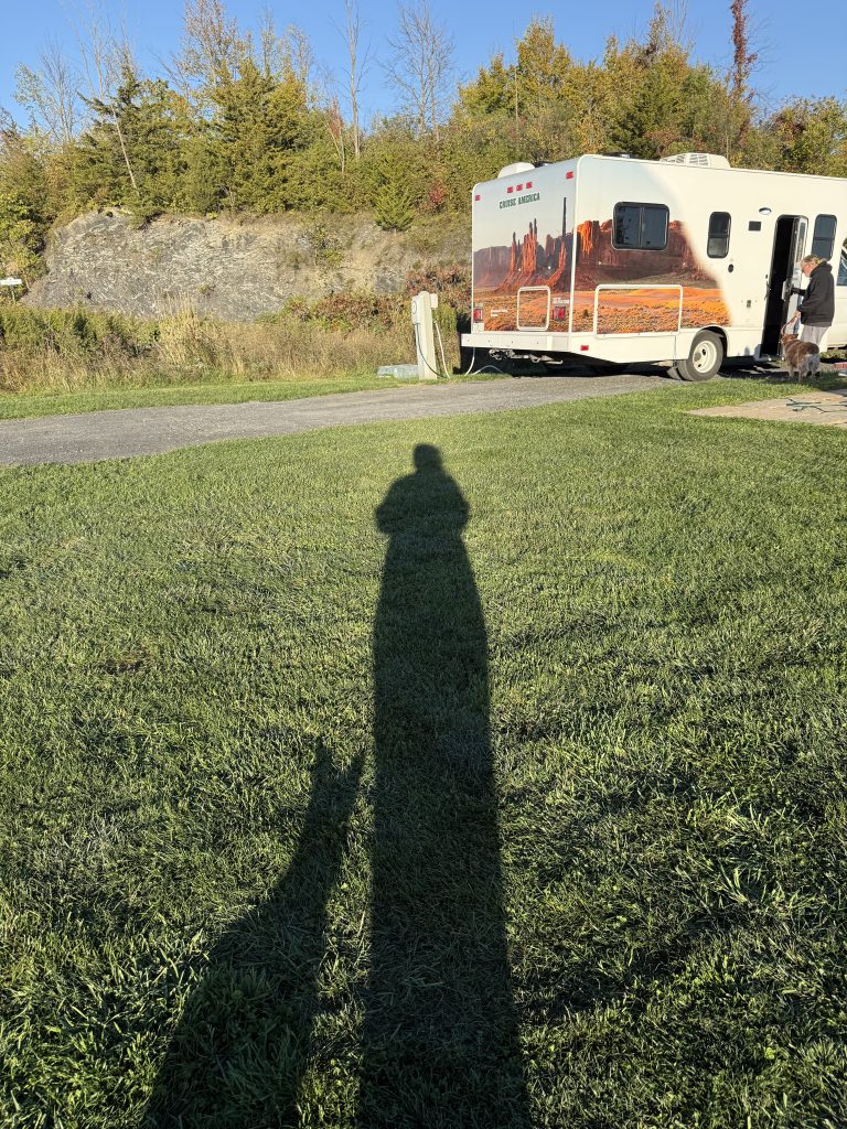 shadow 768x1024 - BHV Austin shadow 768x1024