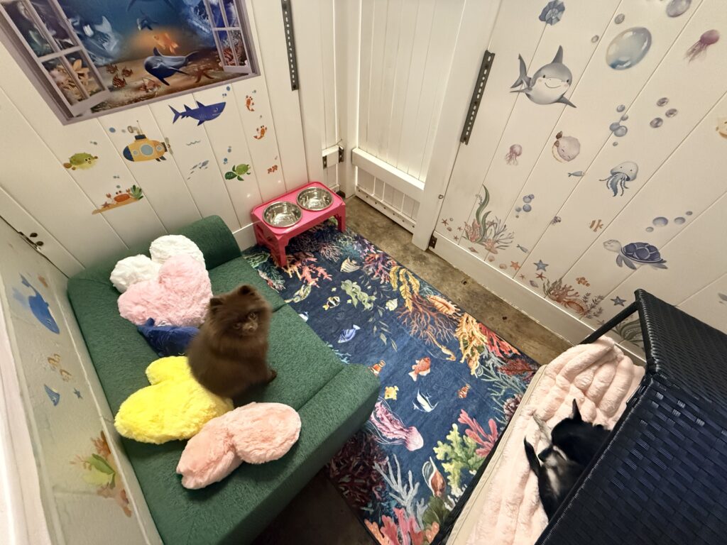 IMG 1349