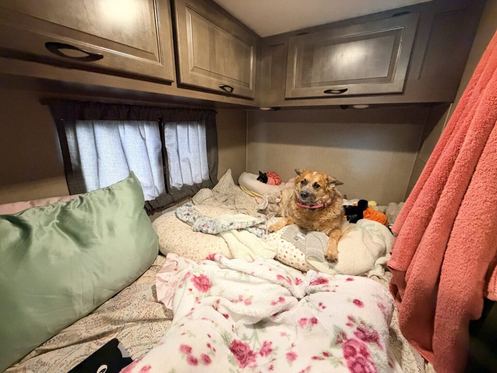 IMG 0131 2