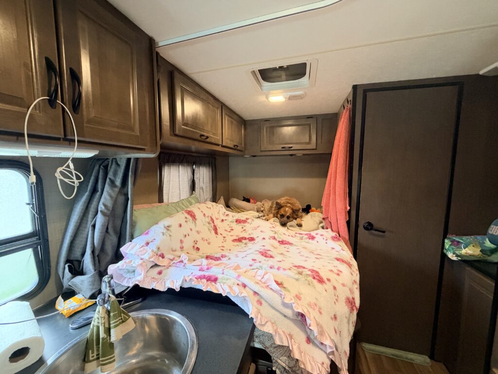 IMG 0138 2