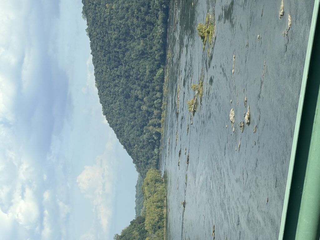 IMG 0167