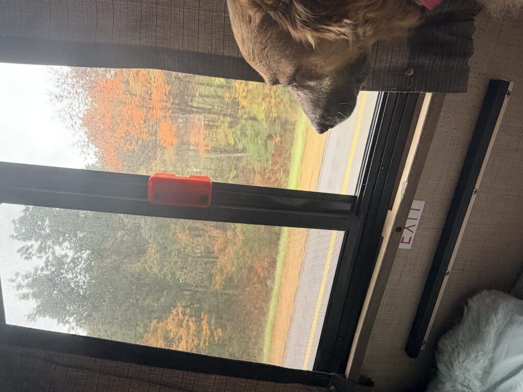 IMG 0266