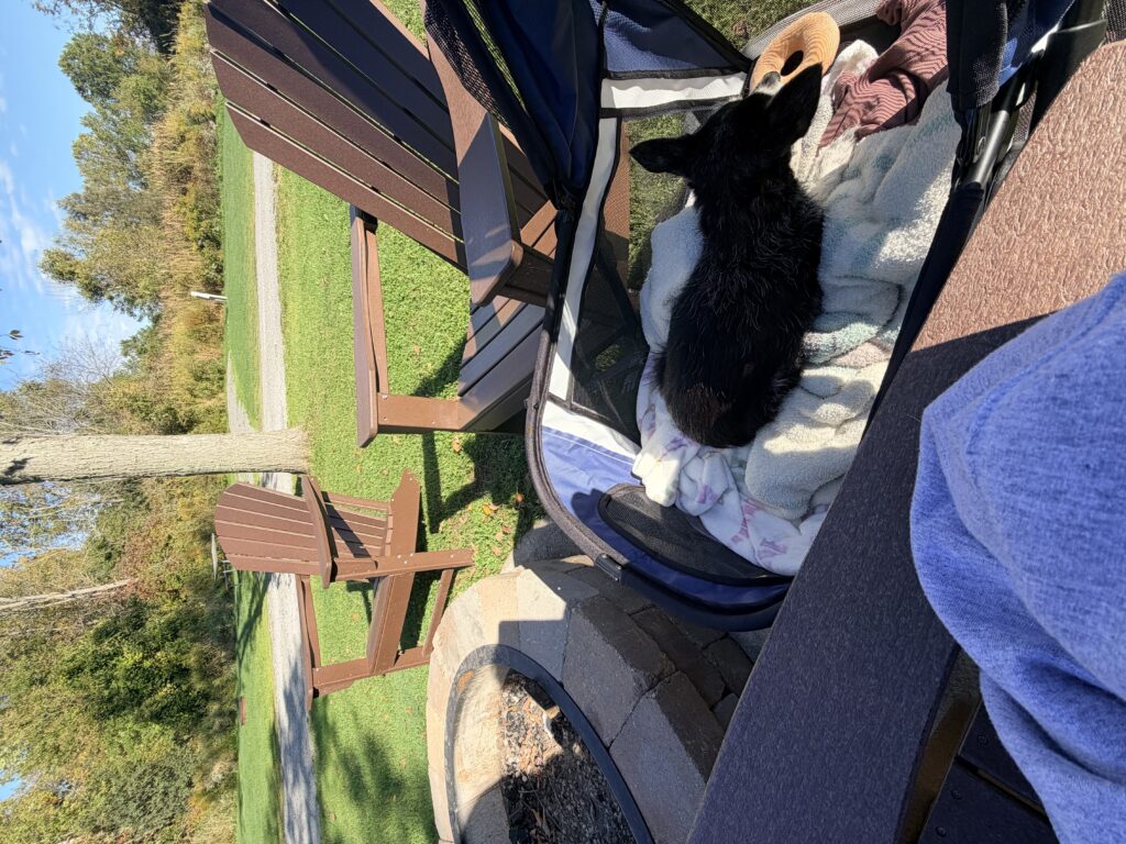 IMG 0302