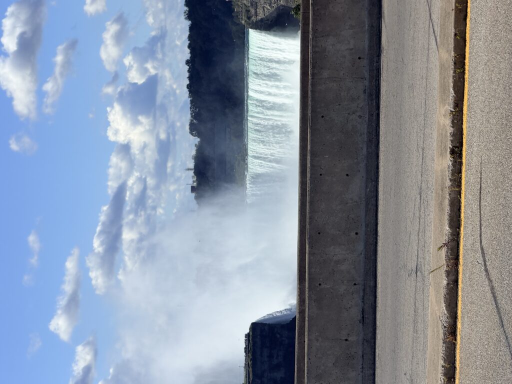 IMG 0349