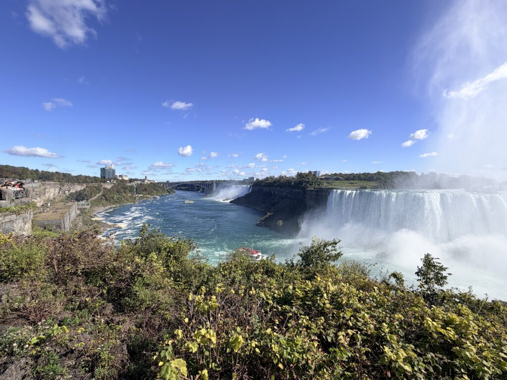 IMG 0363