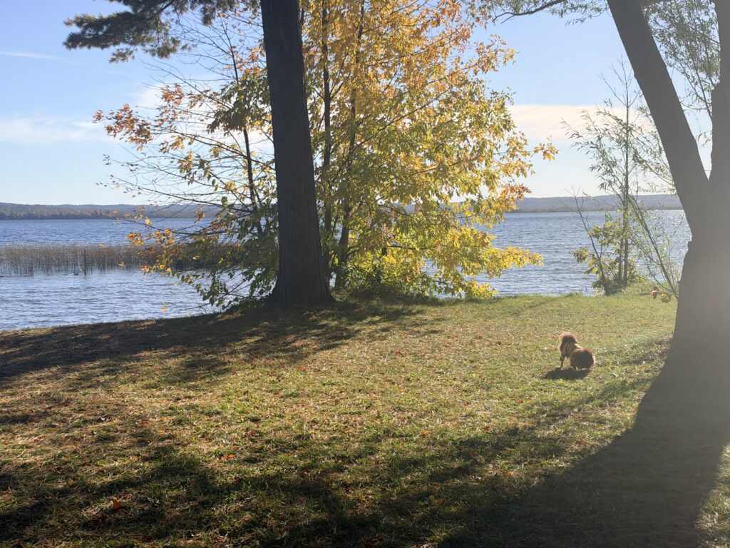 IMG 0489