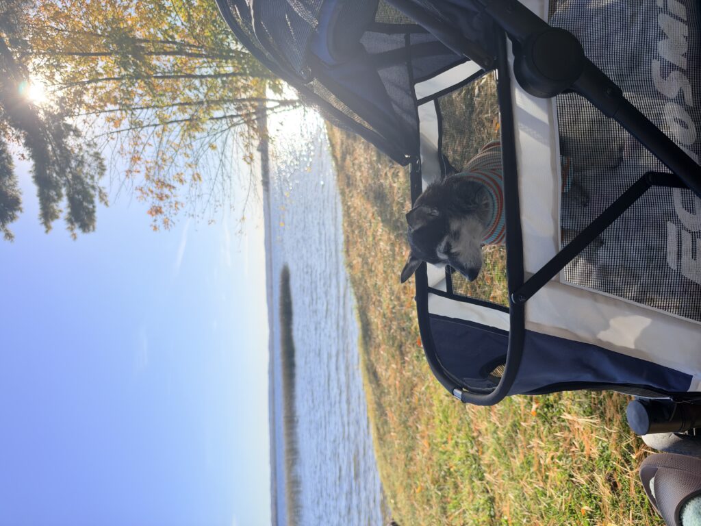 IMG 0499