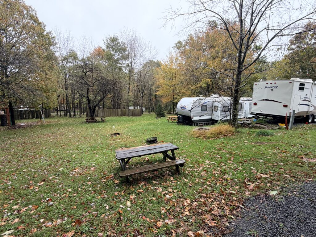 IMG 0694