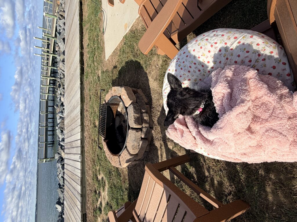 IMG 0759 4