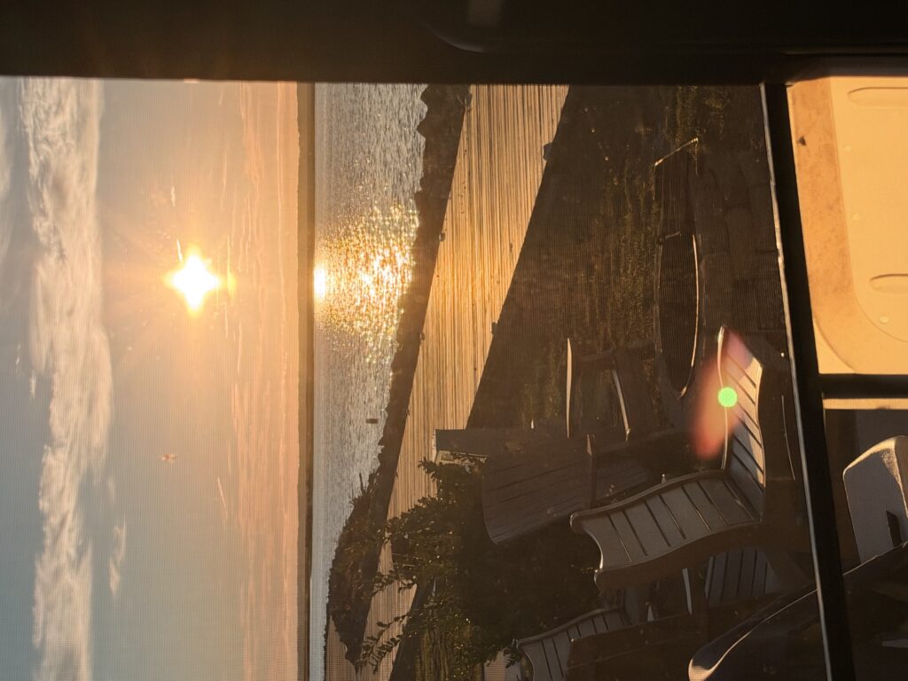 IMG 0786 4