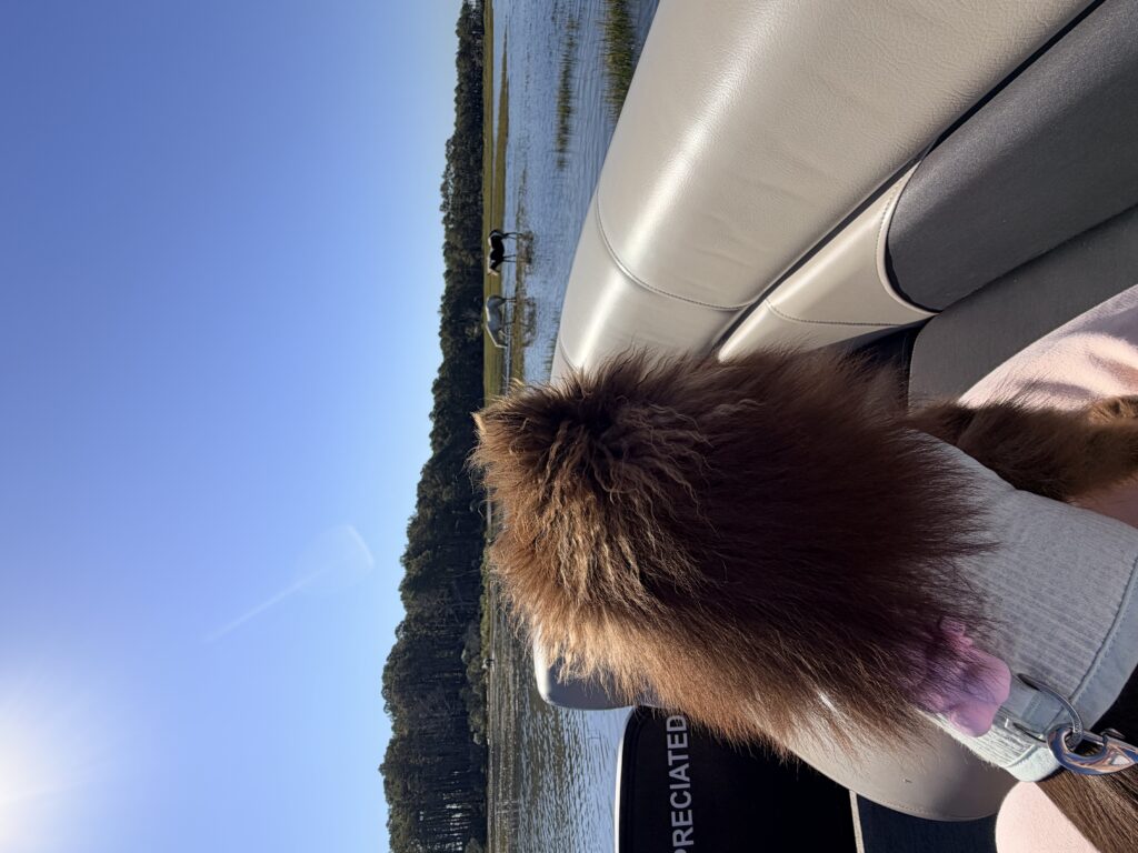 IMG 0874 4