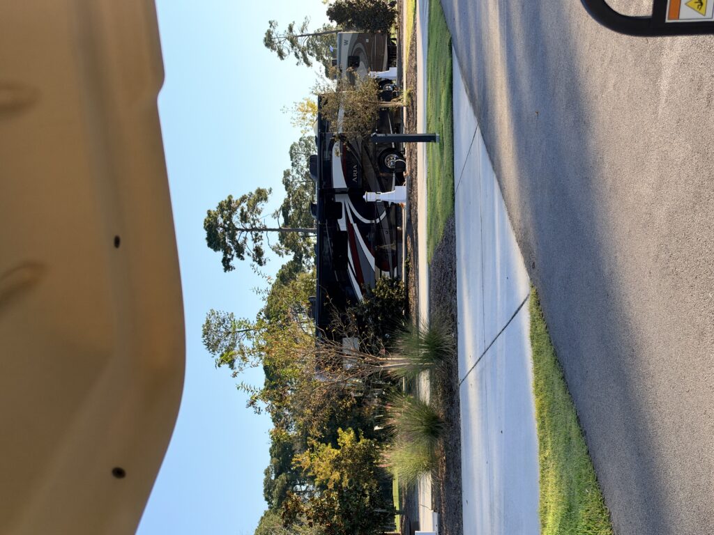 IMG 1017 2
